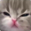 shirlyrm