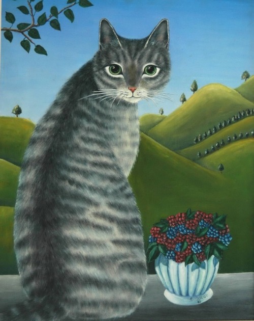 maisouestlechat:Elsa Jacob Moosbrugger     Big grey cat