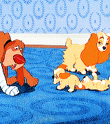 lovelydisneys:  “Ah, but remember, my friends. Even Tramp has his Achilles heel.” 