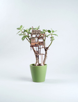 escapekit:  Miniature Treehouse LA-based artist Jedediah Corwyn Voltz creates awesome miniature treehouse’s in houseplants and Bonsai trees in his new series Somewhere small. So far he’s created 25 miniature treehouse’s that resemble tiny watchtowers