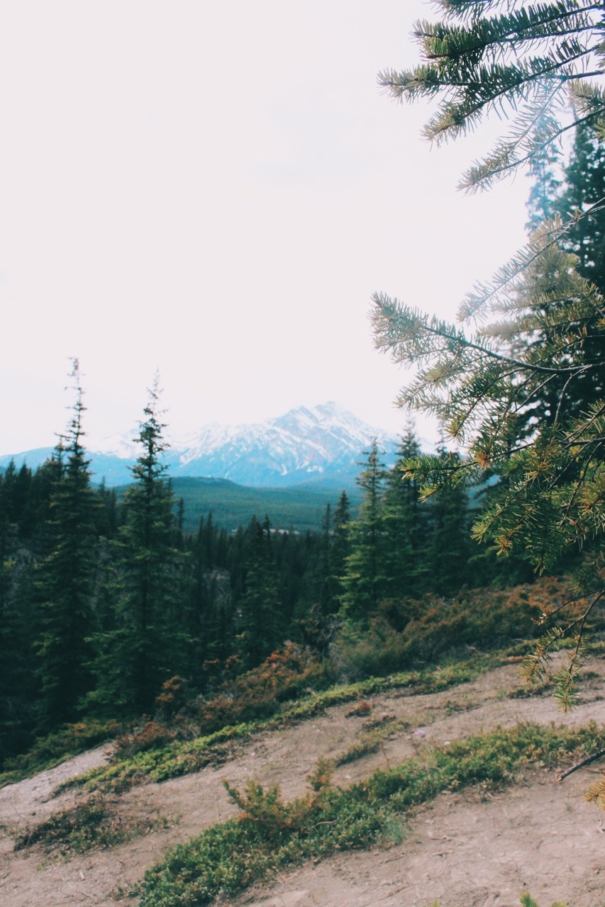 avenuesofinspiration:  On the Horizon | @Mammothstock | AOI