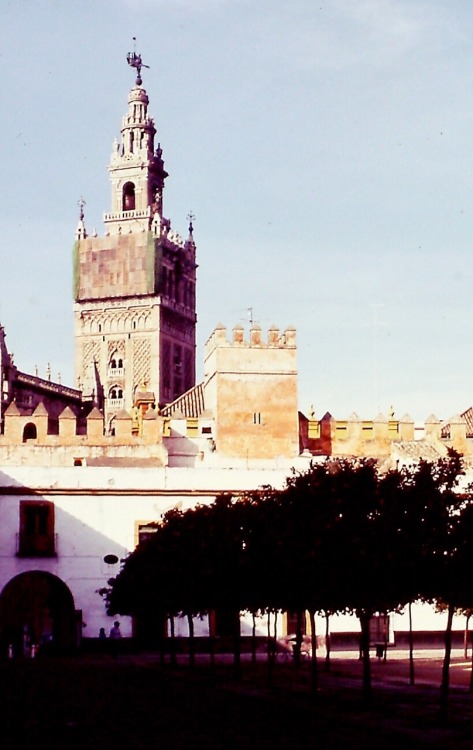 Giralda en reparación, vista desde Alcázar, Sevilla, 1983.