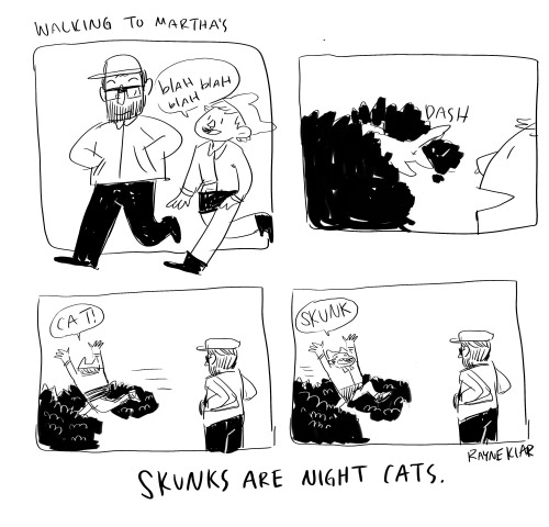 a 5 minute comic of the dangers of night cats 