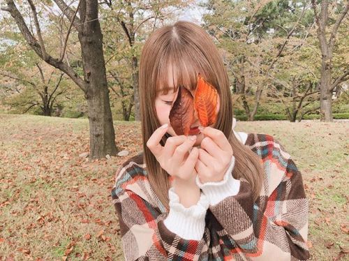 加藤美南さんのツイート: 秋ですね t.co/2ZGJP5RRzi t.co/ogEmBUL7hC