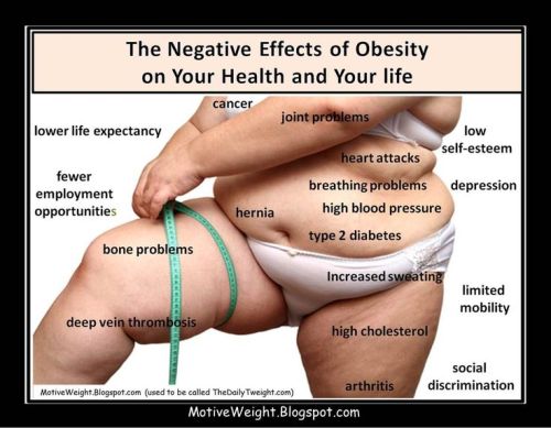 offensivememedaddy:“Don’t put fat people down!”Well, I don’t really have to,