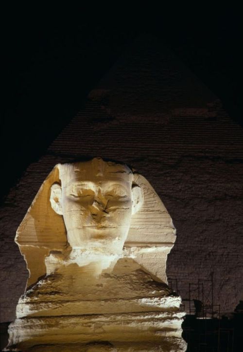 Sphinx of Giza, at night, Giza Necropolis, Egypt. Credits : DEA / P. LIACI - Getty