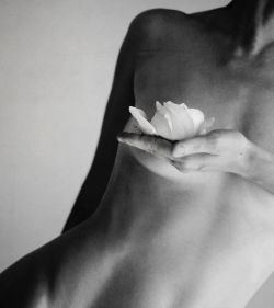The Harmony of Yin and Yang