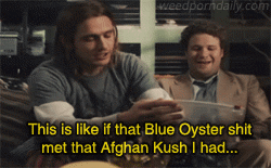 WeedPornDaily Tumblr