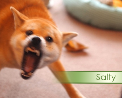 dr–wizard:  dairyphairy:  sshibe:        Tag yourselves I’m savory 