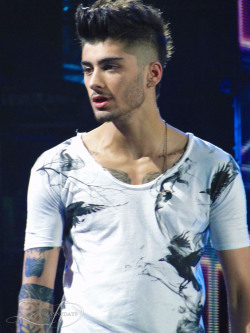 zaynydays:  Denver 7.24.13 