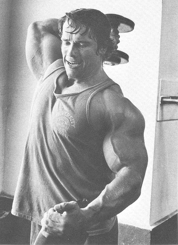 drwannabe:  Arnold
