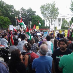 50-60,000 people demonstrating against israeli