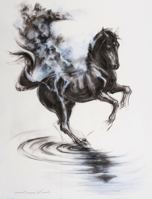 Equine Artist: Anna Rockwell on Cavalcade