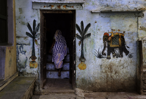 stevemccurrystudios:STEP BY STEP “Walking … is how the body measures itself against the earth.” - 