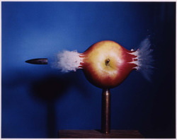 sixpenceee:  Bullet through an apple, taken