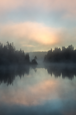 expressions-of-nature:  Pastel Morning :