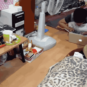 mintyfreshkid2:  Why they do that
