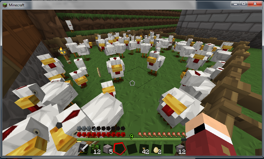 I think I may have too many chickens&hellip; I am the crazy chicken lady of Evestonia. 