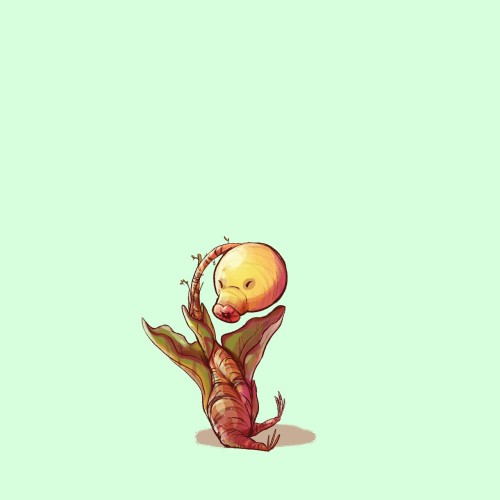 No. 069 Bellsprout  Check out my patreon! Patreon.com/Macintyrerath