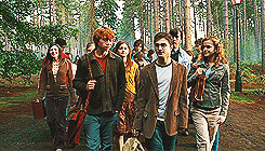 summcohen:   THE MAGIC BEGINS | 03 » Favourite film ↳ Harry Potter and the Order