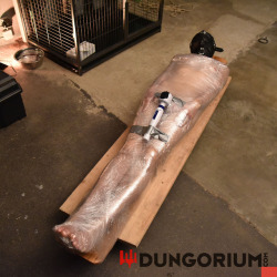 dungorium: Wrapped in the Dungeon www.dungorium.com 