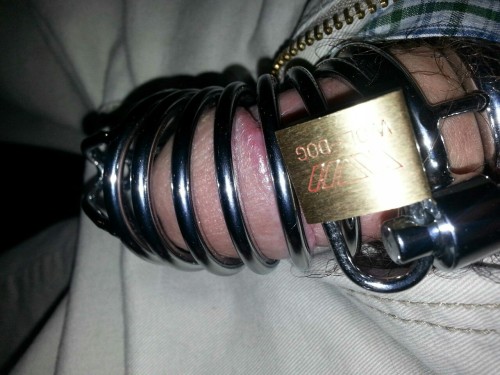 controllmycock:  Locked cock  #cockcage #cbt #bdsm 