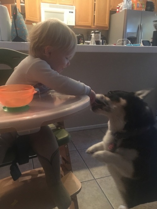 We love eggies with cheese!