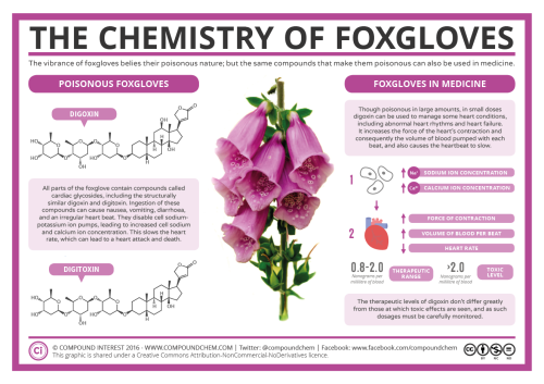 currentsinbiology: compoundchem:Foxgloves: both poison and medicine! More info/high-res image: htt