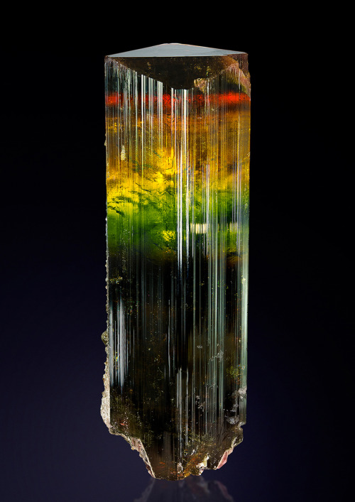 10&quot; tall Tourmaline crystal - Estatoby, Madagascar