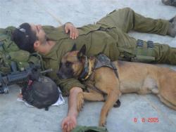 menandtheirdogs:  …two warriors getting some rest 