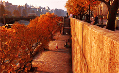 maybelleteas:  Beauty in Animated Movies: Ratatouille (2007)           