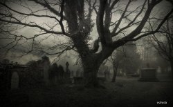 red-lipstick:  Estruda aka Pangea (UK) - The Gathering Storm (St Catherines Cemetery , Barton Upon Irwell, Lancashire, England), 2013    Photography