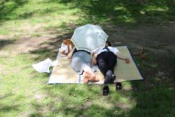 humansofnewyork:  Seen in Central Park