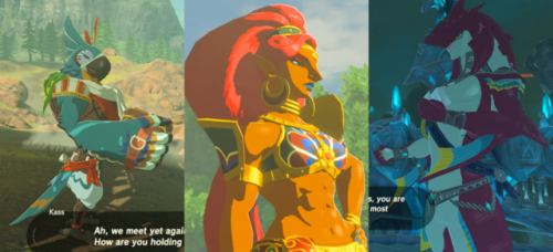 partiallybatty:How/Why is it that these 8+ foot tall BotW characters are so damn fine?!