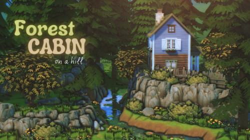 Forest Cabin On A Hill