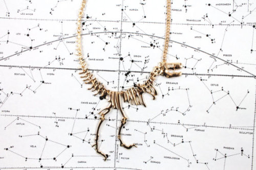 Tyrannosaurus Rex Necklace //TheScienceBoutique