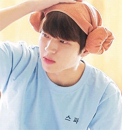 namusoos-blog:  nam lamb 