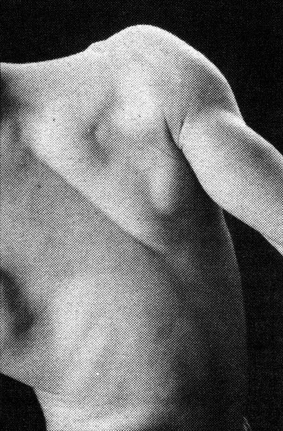 XXX kradhe:  David Seidner, Ballet, 1979.   photo