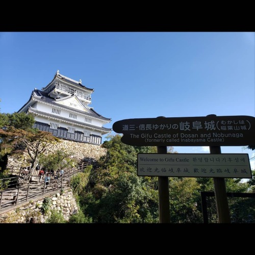 Gifu Prefecture ⛰Mt. Kinkan - Umanose Trail You can either take a ropeway or do one of the 3 main hi