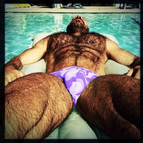 OMG - physically ideal - hairy, sexy, awesome bulge - this is what dreams are made of - WOOF