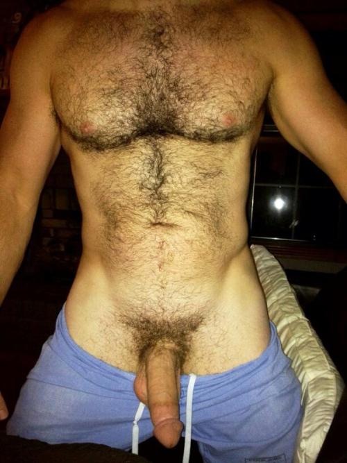 onefitswimmer:  Follow me @ onefitswimmer@tumblr.com 🐷