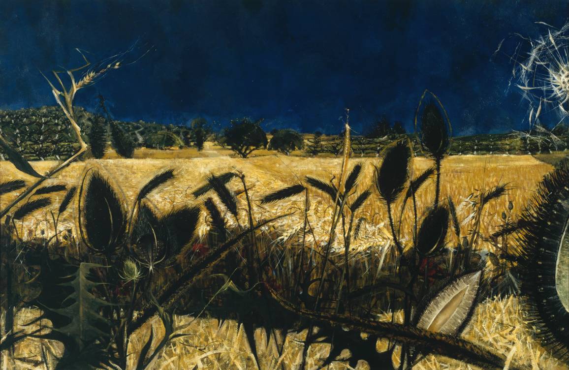 transistoradio:  Alan Reynolds (b.1926), Summer: Young September’s Cornfield (1954),