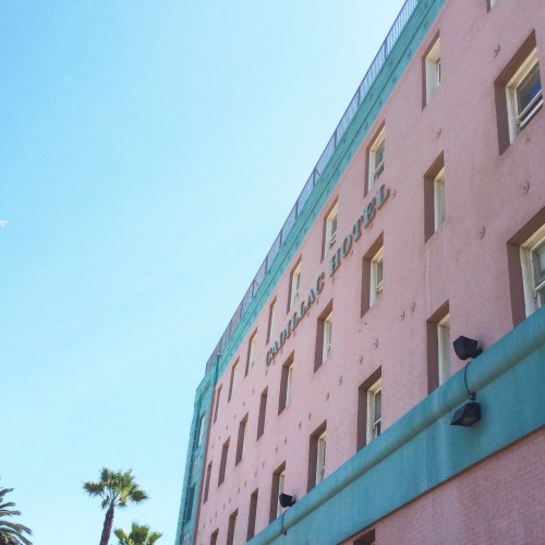 ofeliasteeth:  Santa Monica