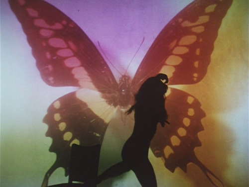 Butterfly (Shuji Terayama, 1974) 