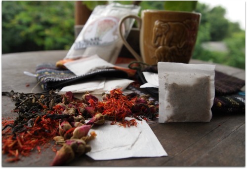thesugarelephantcafe: Andrographis Paniculata King Of Bitters 40x Tea Bags from Northern Thailand h