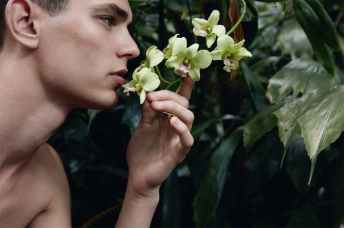 taur:Arthur Gosse