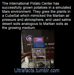 ultrafacts:  Source: [x]Click HERE for more facts!