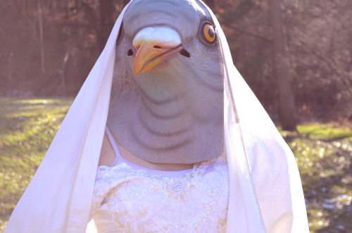 tyleroakley: FIRST GAY MARRIAGE, NOW THIS is this the plot twist to hatoful boyfriend