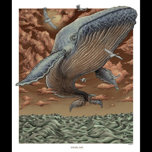 Emek aka Emek Golan (American, b. 1970, Israel) - Whale   Prints