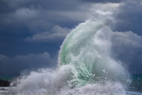 etherealvistas:Rough sea (Italy) by gioallie || Website